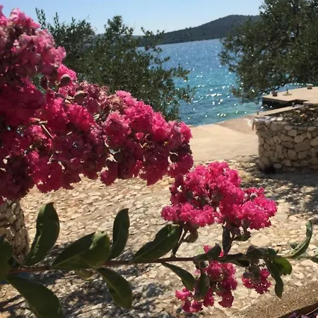 Jasenova 20 Holiday home Zaboric
